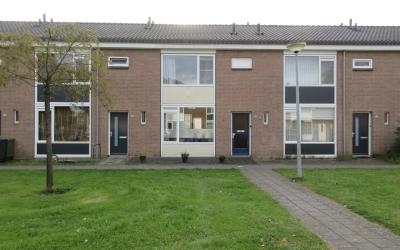 Heinsiusstr. 116