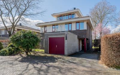 Vuurvlinder 8