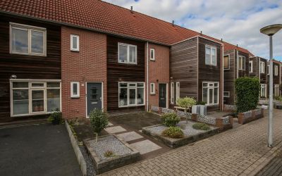 Roerdomp 15