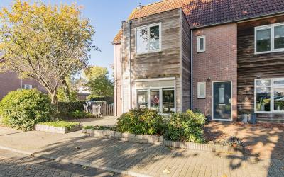 Roerdomp 27