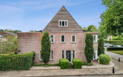 Roerdomp 7