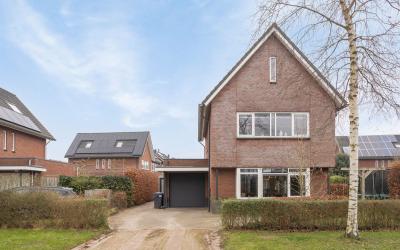 Korenbloem 4