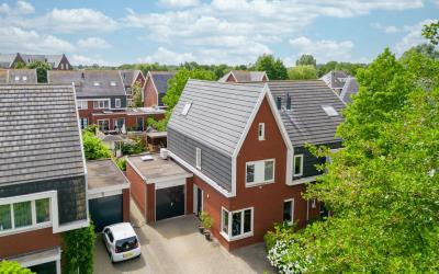 Zwanenbloem 14