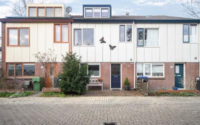 Jan Steenstraat 213