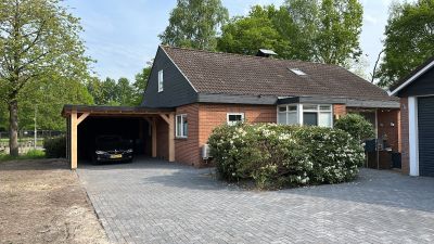 De wilgen 10