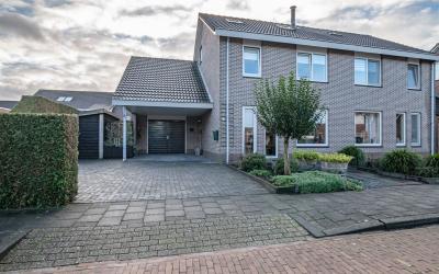Fazant 17