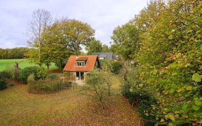 Nieuwland 40