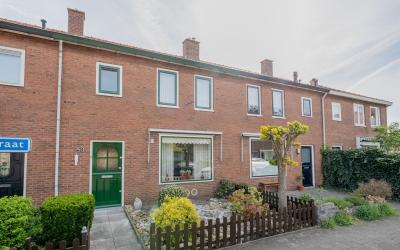 Goudsbloems. 53