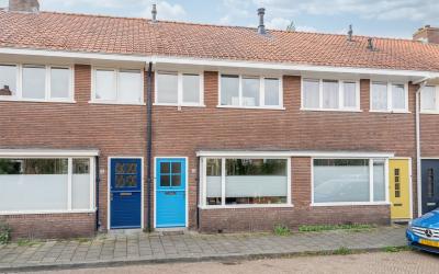 Goudsbloems. 50