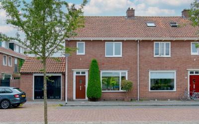 Goudsbloems. 76