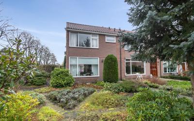 Groen van P. 1