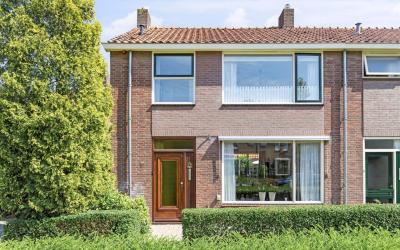 Groen van P. 19