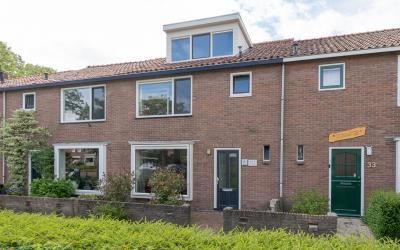 Groen van P. 31