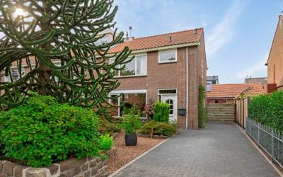 Groen van P. 7