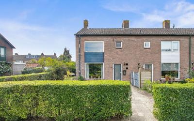 Groen van P. 53