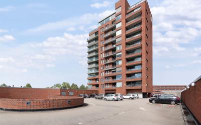 Oldeneelall. 38