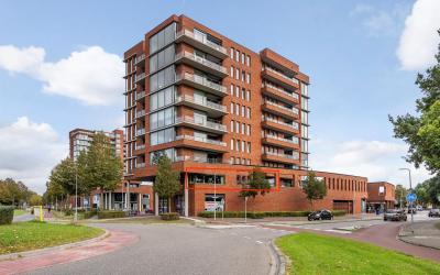 Van der Cap. 282