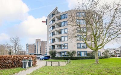 Rommestraat 19