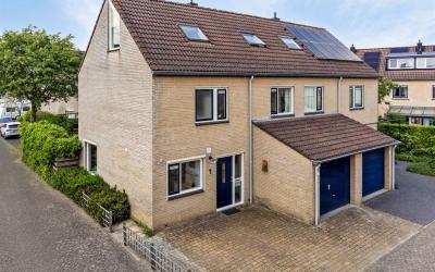 Aureliavlin. 1