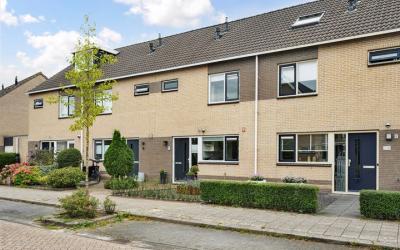 Muijdermans. 17