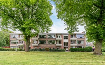 Hornstraat 49