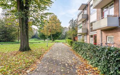 Hornstraat 53