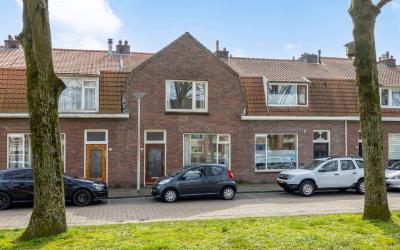 Hanekamp 13