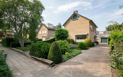 Boerhaavela. 33