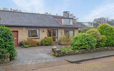 Boerhaavela. 26