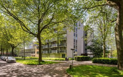 Straussplein 46