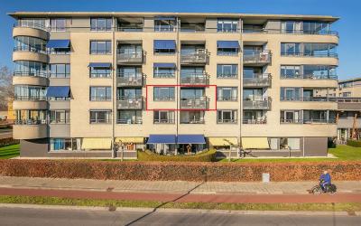 Zijpe 40