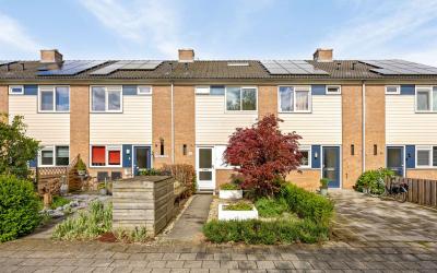 Polbeek 55