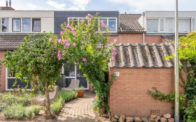 Bolksbeek 6