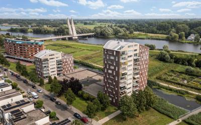Beeldsnijde. 213