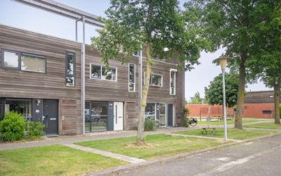 Goudplevier. 57