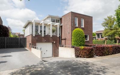 Goudplevier. 235