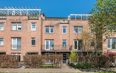 Veldbeemdgras 54