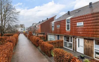 Blaaszegge 16