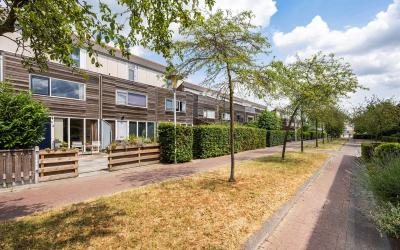 Oeverzegge 3