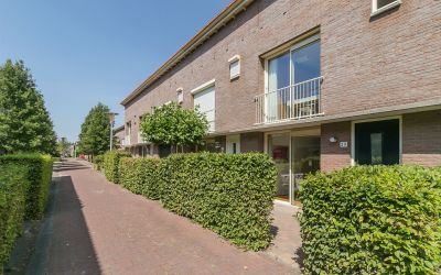 Pluimzegge 29