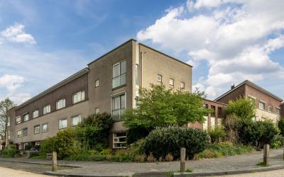 Dotterbloem 2