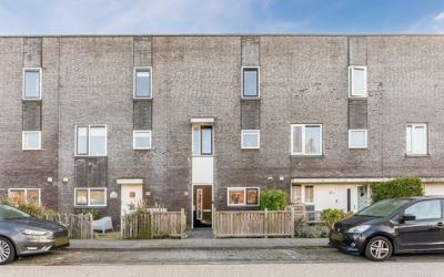 Dotterbloem 36