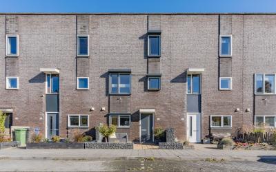 Dotterbloem 42