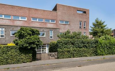 Zwanenbloem 2