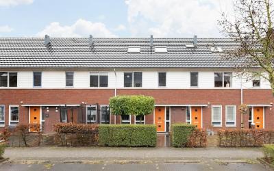 Plattenborg. 15