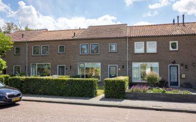 Allee 42