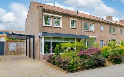 Allee 54