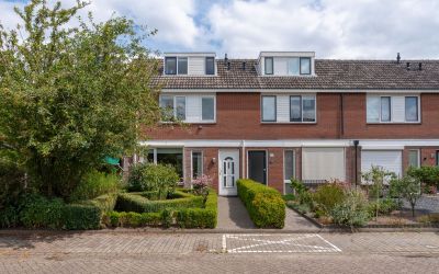 de Reest 40