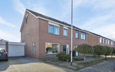 De Zwanebloem 13