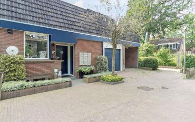 Mauvekant 21